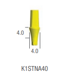 TEMPORARY ABUTMENT